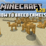 camels eat in Minecraft 1.20 update