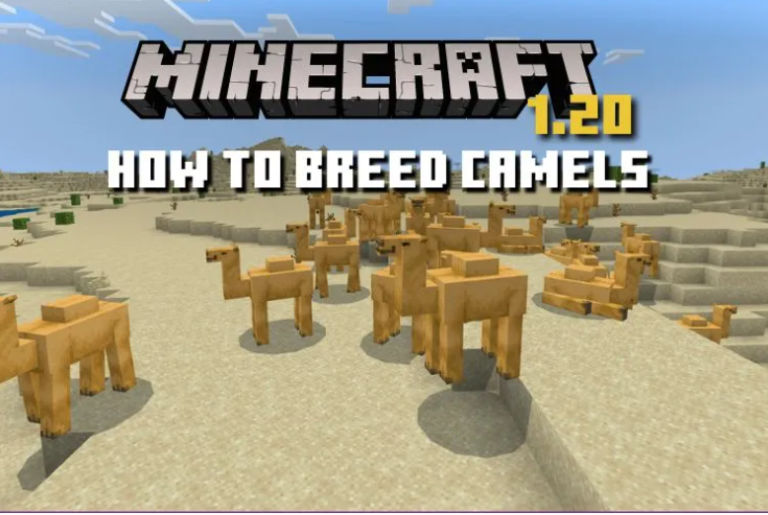 camels eat in Minecraft 1.20 update